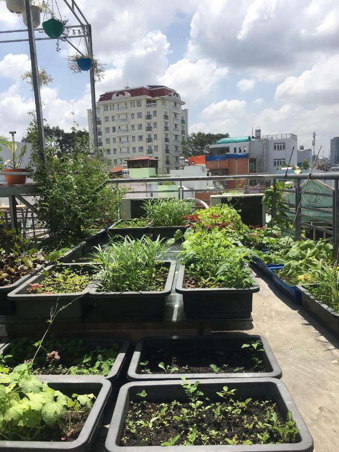Hello Saigon Homestay Ho Şi Min Exterior foto